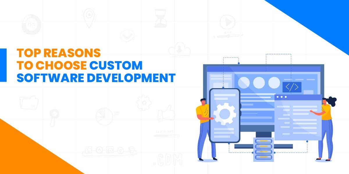 Why Choose Custom Software Development For Your Business?
