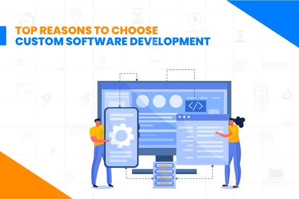 Why Choose Custom Software Development For Your Business?